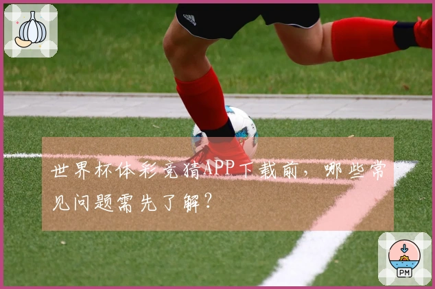 世界杯体彩竞猜APP下载前,哪些常见问题需先了解?